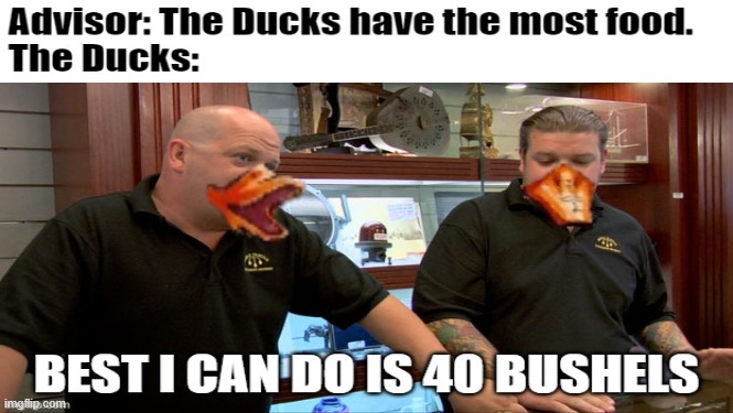 Dragon Pass 40 Bushels | image tagged in king of dragon pass,kodp,ducks,40 bushels,pawn stars best i can do | made w/ Imgflip meme maker