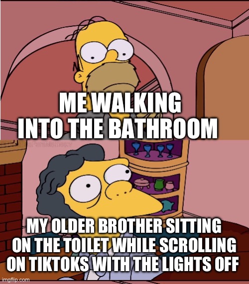 Happens all the time | ME WALKING INTO THE BATHROOM; MY OLDER BROTHER SITTING ON THE TOILET WHILE SCROLLING ON TIKTOKS WITH THE LIGHTS OFF | image tagged in homer and moe | made w/ Imgflip meme maker