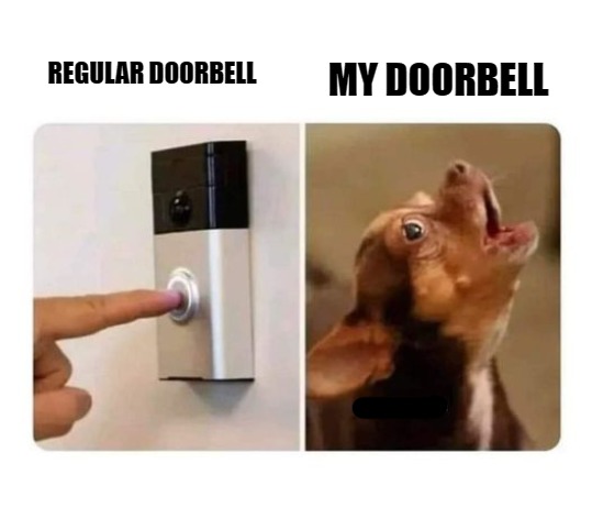 my doorbell | REGULAR DOORBELL; MY DOORBELL | image tagged in my doorbell,kewlew | made w/ Imgflip meme maker