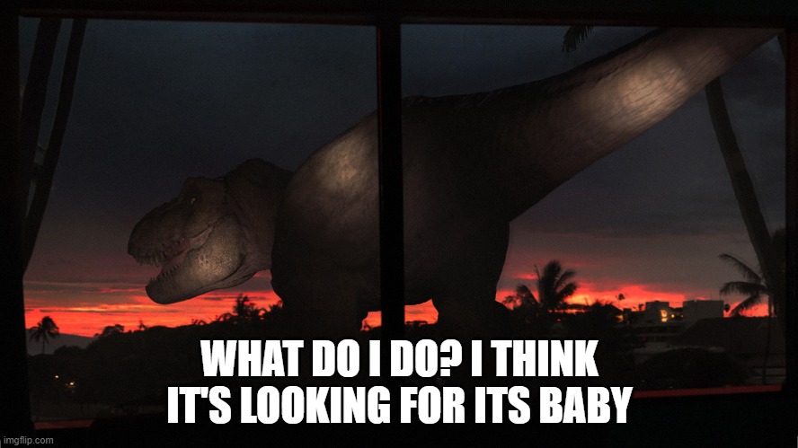 WHAT SHOULD I DO? ITS RIGHT OUTSIDE! | WHAT DO I DO? I THINK IT'S LOOKING FOR ITS BABY | image tagged in jurassic world | made w/ Imgflip meme maker