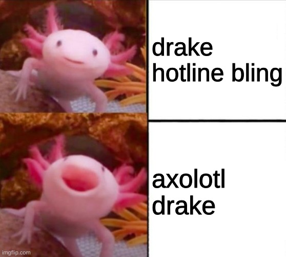 axolotl | drake hotline bling; axolotl drake | image tagged in axolotl drake | made w/ Imgflip meme maker
