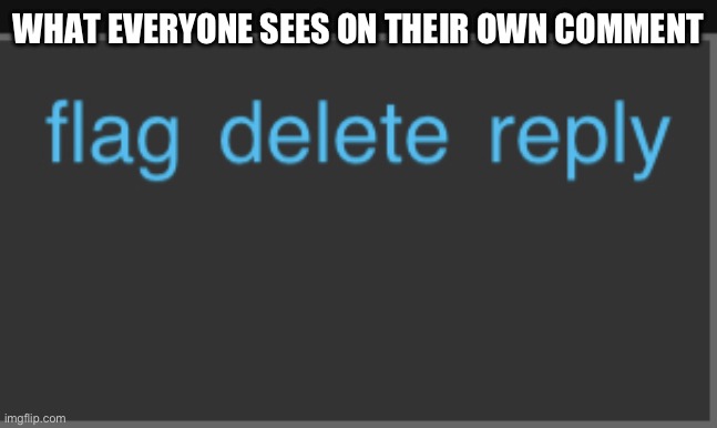 the options on your own comment | WHAT EVERYONE SEES ON THEIR OWN COMMENT | image tagged in the options on your own comment | made w/ Imgflip meme maker
