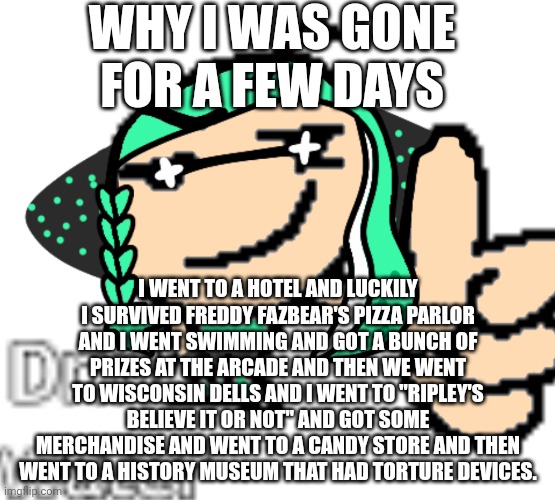 Hope you had a good weekend too! | WHY I WAS GONE FOR A FEW DAYS; I WENT TO A HOTEL AND LUCKILY I SURVIVED FREDDY FAZBEAR'S PIZZA PARLOR AND I WENT SWIMMING AND GOT A BUNCH OF PRIZES AT THE ARCADE AND THEN WE WENT TO WISCONSIN DELLS AND I WENT TO "RIPLEY'S BELIEVE IT OR NOT" AND GOT SOME MERCHANDISE AND WENT TO A CANDY STORE AND THEN WENT TO A HISTORY MUSEUM THAT HAD TORTURE DEVICES. | made w/ Imgflip meme maker