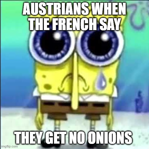 The French Song About Onions? | AUSTRIANS WHEN THE FRENCH SAY; THEY GET NO ONIONS | image tagged in sad spongebob,history memes | made w/ Imgflip meme maker