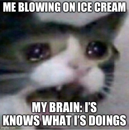 crying cat | ME BLOWING ON ICE CREAM; MY BRAIN: I’S KNOWS WHAT I’S DOINGS | image tagged in crying cat | made w/ Imgflip meme maker