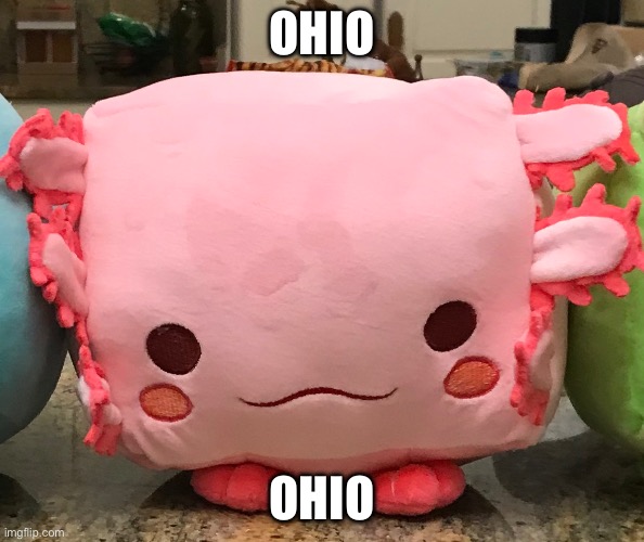 Pet sim x axolotl plush | OHIO OHIO | image tagged in pet sim x axolotl plush | made w/ Imgflip meme maker