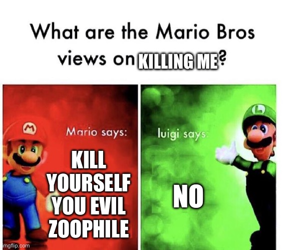 Mario Bros Views | KILL YOURSELF YOU EVIL ZOOPHILE NO KILLING ME | image tagged in mario bros views | made w/ Imgflip meme maker