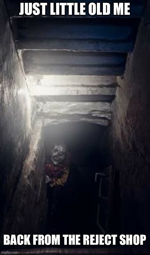 Basement Clown | JUST LITTLE OLD ME BACK FROM THE REJECT SHOP | image tagged in basement clown | made w/ Imgflip meme maker