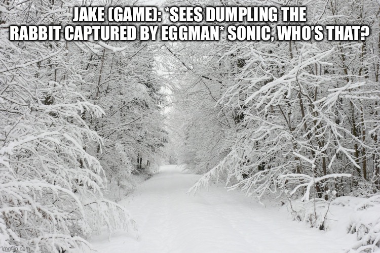 Sonic reflection Advance | JAKE (GAME): *SEES DUMPLING THE RABBIT CAPTURED BY EGGMAN* SONIC, WHO’S THAT? | image tagged in snowy forest | made w/ Imgflip meme maker