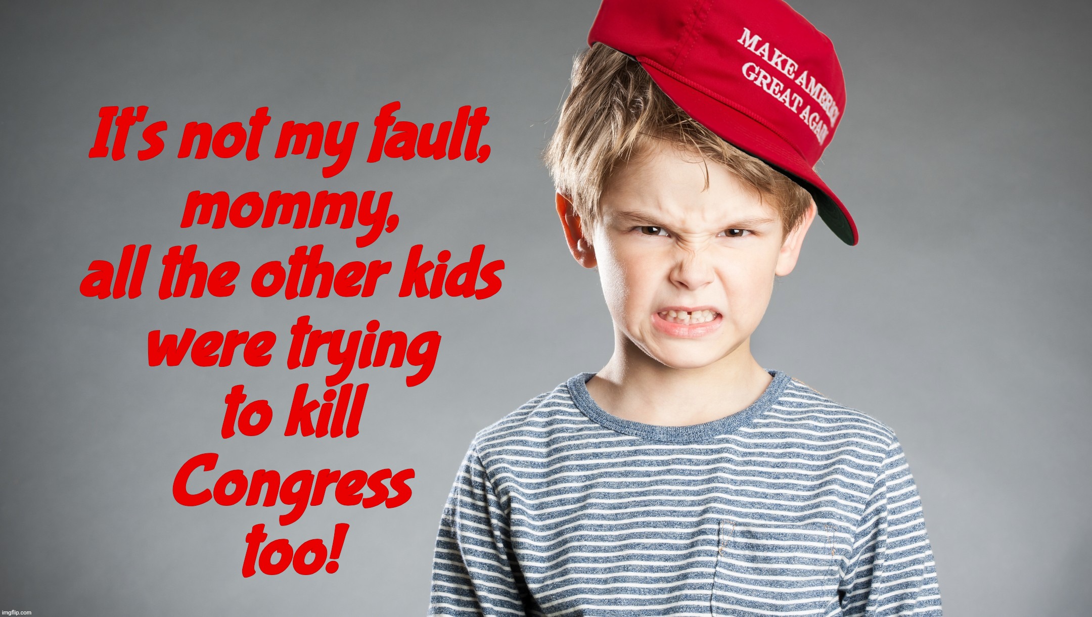 When the useless idiots got duped into sedition by a wannabe dictator and the rest of the flock of goosesteppers | It's not my fault,
mommy,
all the other kids
were trying
to kill
Congress
too! | image tagged in maga kid mad,january 6 capital riot,maga,magats,seditious traitors,simply misunderstoof | made w/ Imgflip meme maker