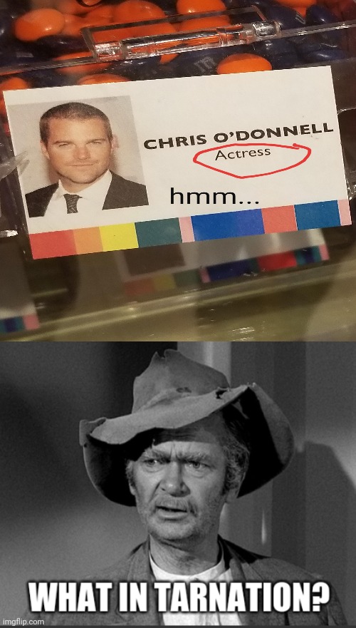 *Actor | image tagged in what in tarnation,actress,actor,you had one job,memes,actors | made w/ Imgflip meme maker