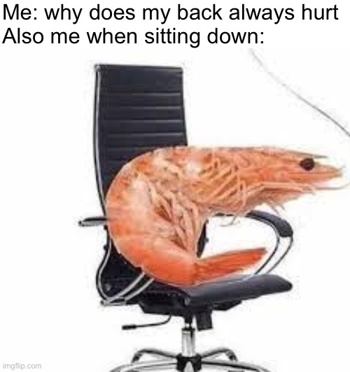 chair-shrimp-imgflip