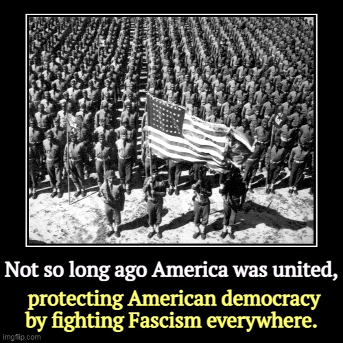 Not so long ago America was united, | protecting American democracy by fighting Fascism everywhere. | image tagged in funny,demotivationals,americans,fight,fascism,everywhere | made w/ Imgflip demotivational maker