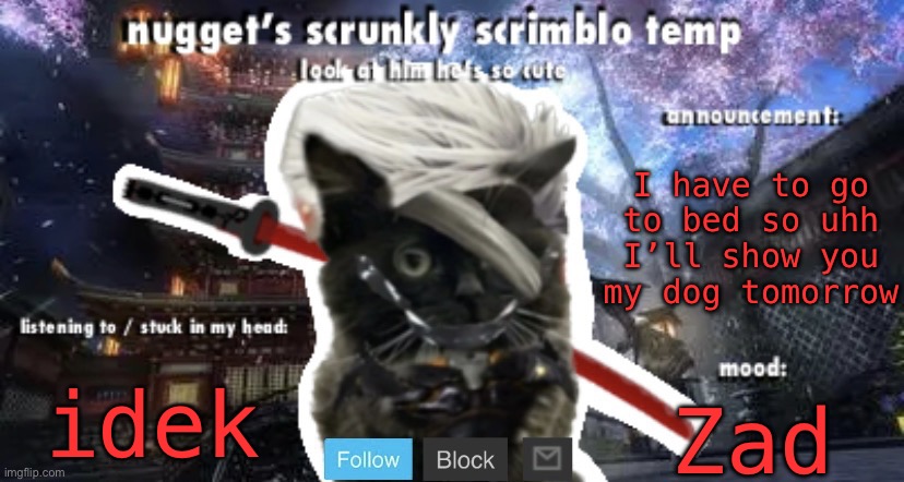 bruh | I have to go to bed so uhh I’ll show you my dog tomorrow; idek; Zad | image tagged in nugget s scrunkly scrimblo temp | made w/ Imgflip meme maker