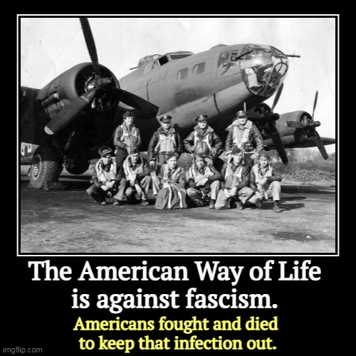 The American Way of Life 
is against fascism. | Americans fought and died 
to keep that infection out. | image tagged in funny,demotivationals,americans,fight,fascism,everywhere | made w/ Imgflip demotivational maker