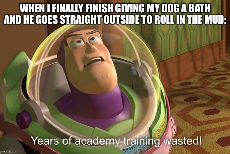 Me: Now listen here you little s**t | WHEN I FINALLY FINISH GIVING MY DOG A BATH AND HE GOES STRAIGHT OUTSIDE TO ROLL IN THE MUD: | image tagged in years of academy training wasted,listen here you little shit bird | made w/ Imgflip meme maker