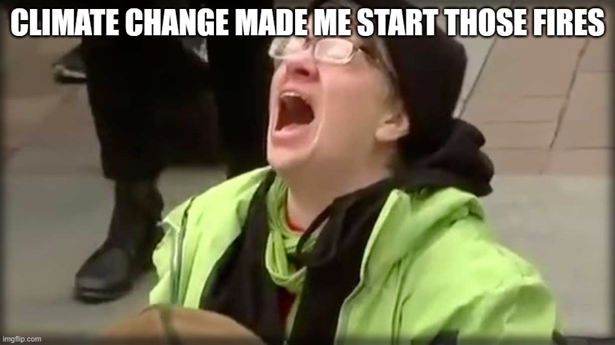 Trump SJW No | CLIMATE CHANGE MADE ME START THOSE FIRES | image tagged in trump sjw no | made w/ Imgflip meme maker