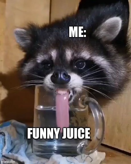 Gimme thayut funny juice | ME:; FUNNY JUICE | image tagged in raccoon drinks water | made w/ Imgflip meme maker