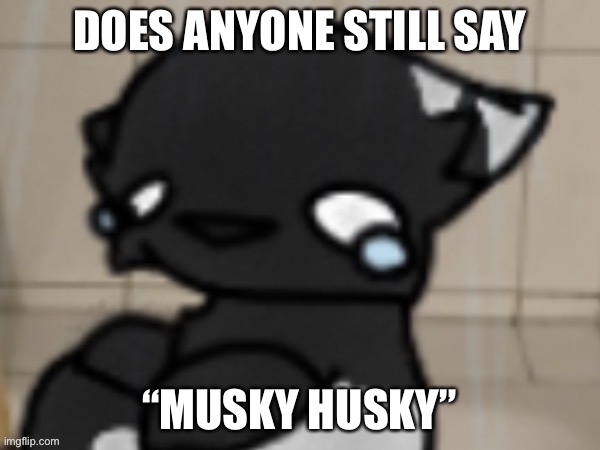 Idek if its a thing anymore- | DOES ANYONE STILL SAY; “MUSKY HUSKY” | image tagged in crying darkio | made w/ Imgflip meme maker