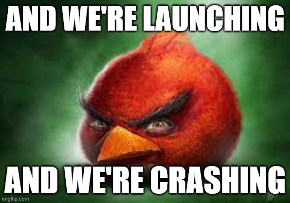 Let's hit the pigs till they all go pop | AND WE'RE LAUNCHING; AND WE'RE CRASHING | image tagged in realistic red angry birds | made w/ Imgflip meme maker