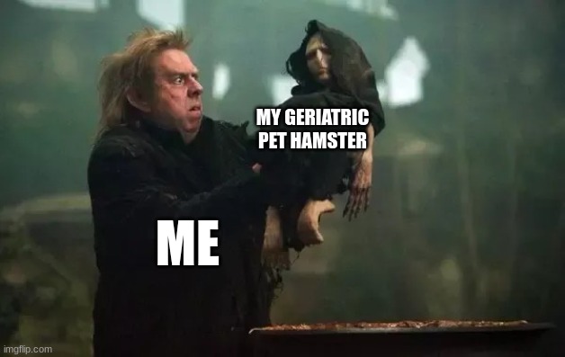 My poor hamster | MY GERIATRIC PET HAMSTER; ME | image tagged in gross baby voldemort | made w/ Imgflip meme maker