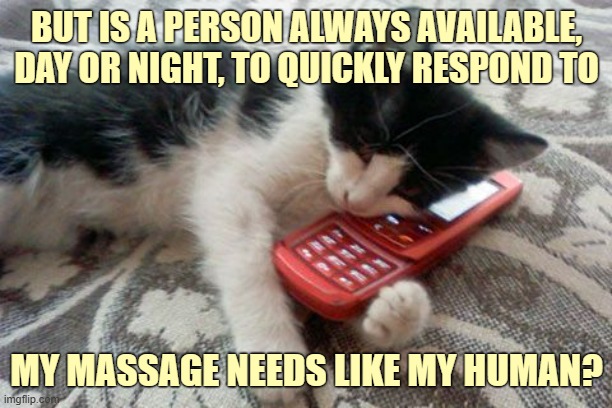 BUT IS A PERSON ALWAYS AVAILABLE, DAY OR NIGHT, TO QUICKLY RESPOND TO MY MASSAGE NEEDS LIKE MY HUMAN? | made w/ Imgflip meme maker