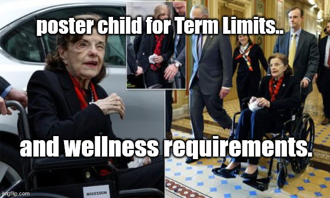 term limits & health requirements | poster child for Term Limits.. and wellness requirements. | image tagged in congress,old lady | made w/ Imgflip meme maker