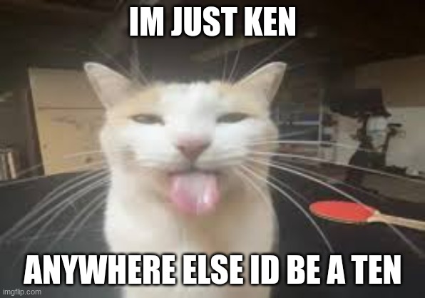 Cat | IM JUST KEN; ANYWHERE ELSE ID BE A TEN | image tagged in cat | made w/ Imgflip meme maker