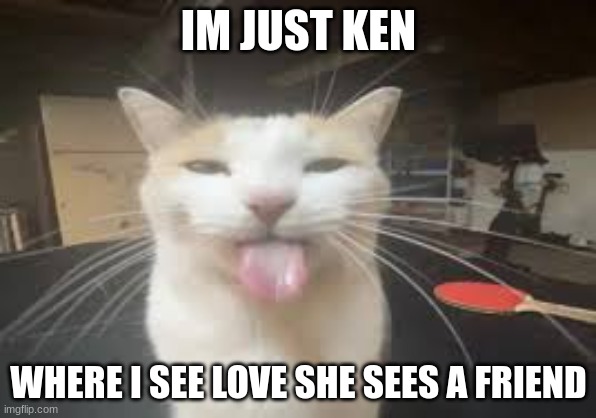 Cat | IM JUST KEN; WHERE I SEE LOVE SHE SEES A FRIEND | image tagged in cat | made w/ Imgflip meme maker