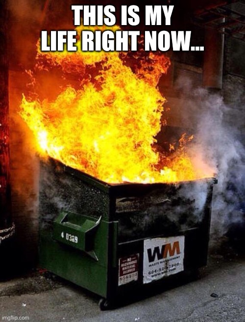 Dumpster Fire | THIS IS MY LIFE RIGHT NOW… | image tagged in dumpster fire | made w/ Imgflip meme maker