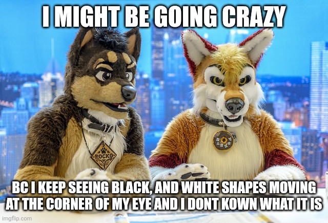 Furry News | I MIGHT BE GOING CRAZY; BC I KEEP SEEING BLACK, AND WHITE SHAPES MOVING AT THE CORNER OF MY EYE AND I DONT KOWN WHAT IT IS | image tagged in furry news | made w/ Imgflip meme maker