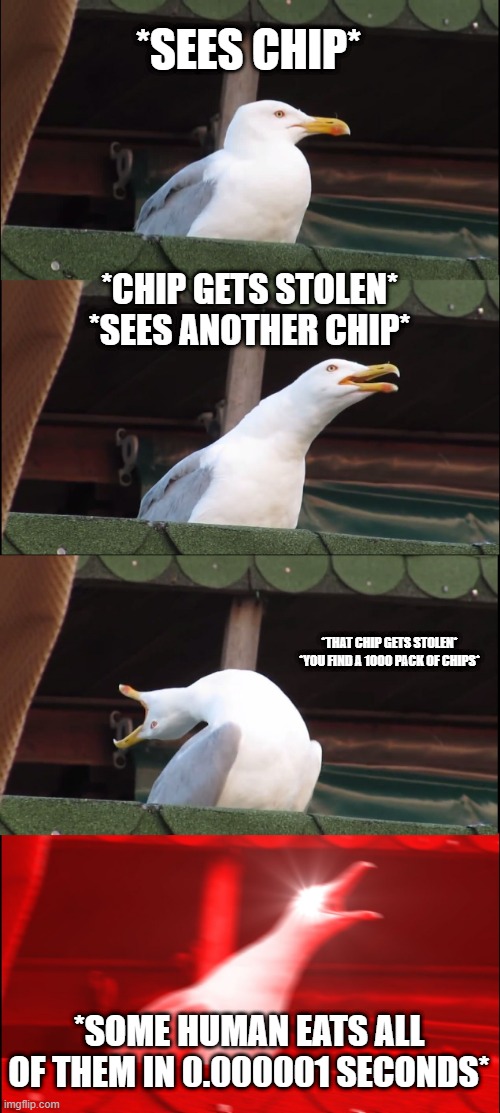 Chips | *SEES CHIP*; *CHIP GETS STOLEN*
*SEES ANOTHER CHIP*; *THAT CHIP GETS STOLEN*
*YOU FIND A 1000 PACK OF CHIPS*; *SOME HUMAN EATS ALL OF THEM IN 0.000001 SECONDS* | image tagged in memes,inhaling seagull | made w/ Imgflip meme maker