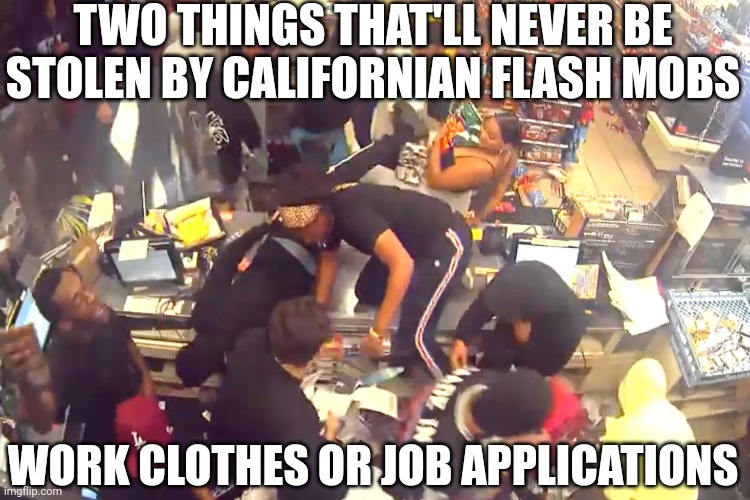 California seriously.... | TWO THINGS THAT'LL NEVER BE STOLEN BY CALIFORNIAN FLASH MOBS; WORK CLOTHES OR JOB APPLICATIONS | image tagged in california,stealing,crime,angry mob | made w/ Imgflip meme maker