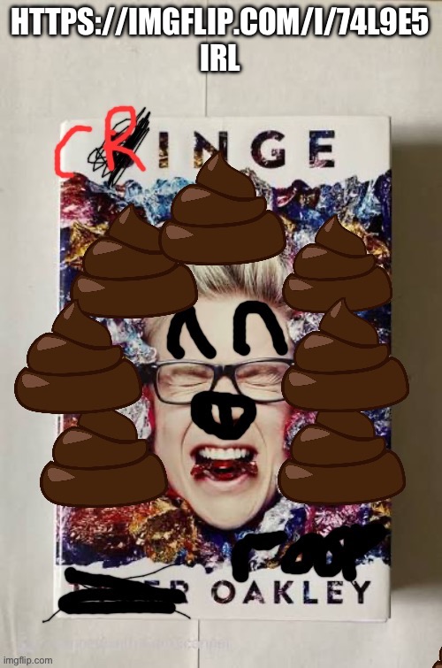BINGE (Ruined and Funny version) | HTTPS://IMGFLIP.COM/I/74L9E5 IRL | image tagged in binge ruined and funny version | made w/ Imgflip meme maker
