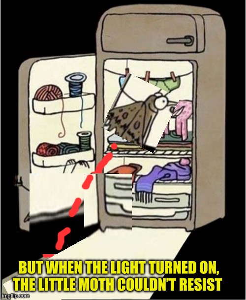 BUT WHEN THE LIGHT TURNED ON,
THE LITTLE MOTH COULDN’T RESIST | made w/ Imgflip meme maker