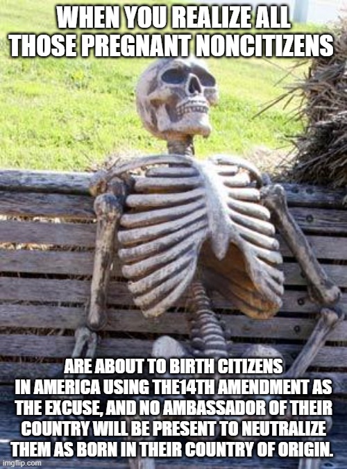 Lack of illegal immigration policy. | WHEN YOU REALIZE ALL THOSE PREGNANT NONCITIZENS; ARE ABOUT TO BIRTH CITIZENS IN AMERICA USING THE14TH AMENDMENT AS THE EXCUSE, AND NO AMBASSADOR OF THEIR COUNTRY WILL BE PRESENT TO NEUTRALIZE THEM AS BORN IN THEIR COUNTRY OF ORIGIN. | image tagged in memes,waiting skeleton | made w/ Imgflip meme maker