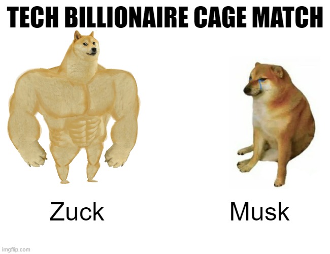 “I think we can all agree Elon isn’t serious and it’s time to move on." - Zuck | TECH BILLIONAIRE CAGE MATCH; Zuck; Musk | image tagged in memes,buff doge vs cheems,elon musk,mark zuckerberg,fight,billionaire | made w/ Imgflip meme maker