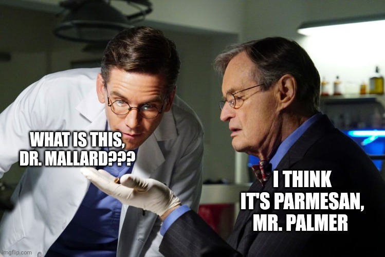 Ducky thinks it's Parmesan, boss... (Head slap) | WHAT IS THIS, DR. MALLARD??? I THINK IT'S PARMESAN, MR. PALMER | image tagged in ncis ducky examines evidence | made w/ Imgflip meme maker