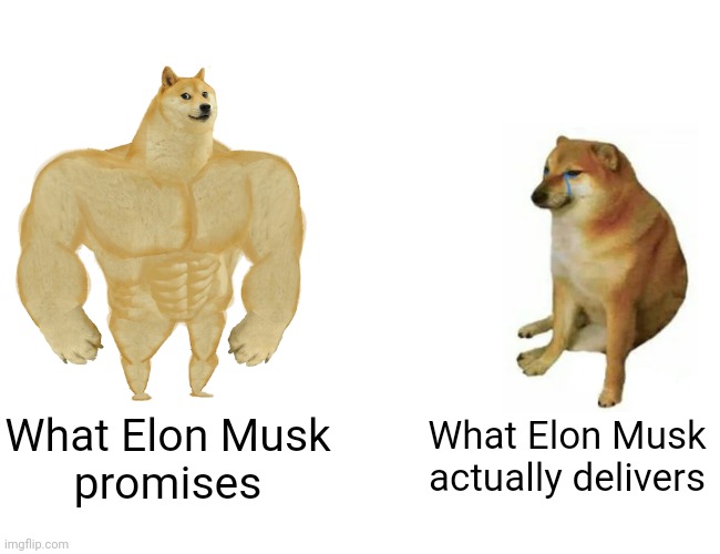 A promise is only as strong as the person who makes it. | What Elon Musk
actually delivers; What Elon Musk
promises | image tagged in memes,buff doge vs cheems,elon musk,promises,neckbeard libertarian,the promised neverland | made w/ Imgflip meme maker