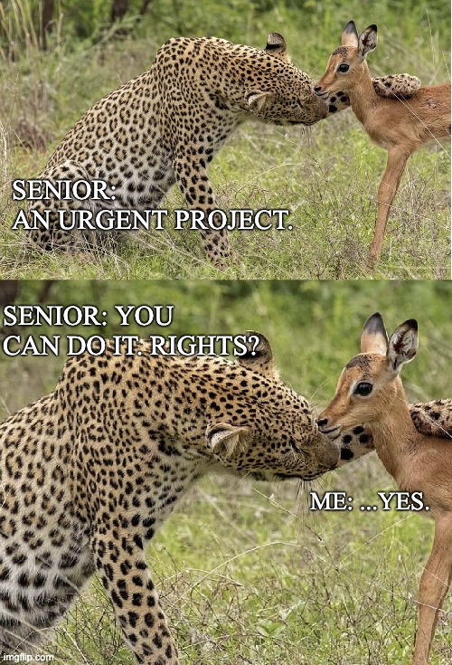 senior and junior jobs | SENIOR: 
AN URGENT PROJECT. SENIOR: YOU CAN DO IT. RIGHTS? ME: ...YES. | image tagged in leopard hugging deer | made w/ Imgflip meme maker