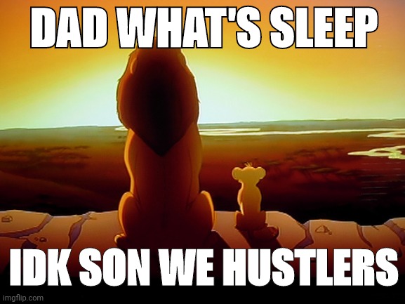 Lion King | DAD WHAT'S SLEEP; IDK SON WE HUSTLERS | image tagged in memes,lion king | made w/ Imgflip meme maker