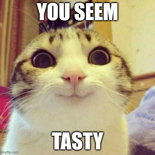 YOU SEEM TASTY | YOU SEEM; TASTY | image tagged in memes,smiling cat | made w/ Imgflip meme maker