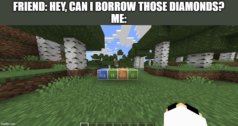 NaHBrO | FRIEND: HEY, CAN I BORROW THOSE DIAMONDS?
ME: | image tagged in nah,bro,minecraft | made w/ Imgflip meme maker