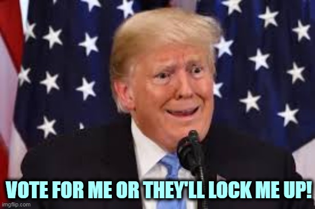Could be. | VOTE FOR ME OR THEY'LL LOCK ME UP! | image tagged in trump fear tears dilated,trump,criminal,election,vote,karma | made w/ Imgflip meme maker