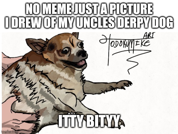 Itty bitty | NO MEME JUST A PICTURE I DREW OF MY UNCLES DERPY DOG; ITTY BITYY | image tagged in derpy,dog,drawing | made w/ Imgflip meme maker