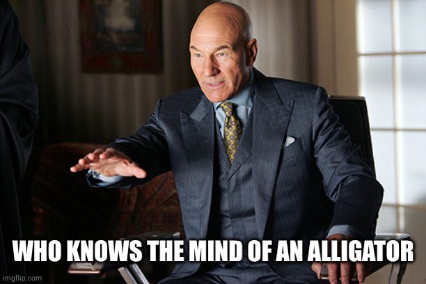 mind reader prof x | WHO KNOWS THE MIND OF AN ALLIGATOR | image tagged in mind reader prof x | made w/ Imgflip meme maker