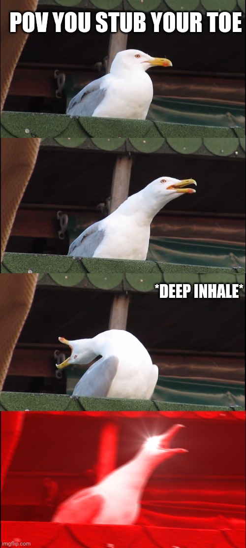 P A I N | POV YOU STUB YOUR TOE; *DEEP INHALE* | image tagged in memes,inhaling seagull | made w/ Imgflip meme maker