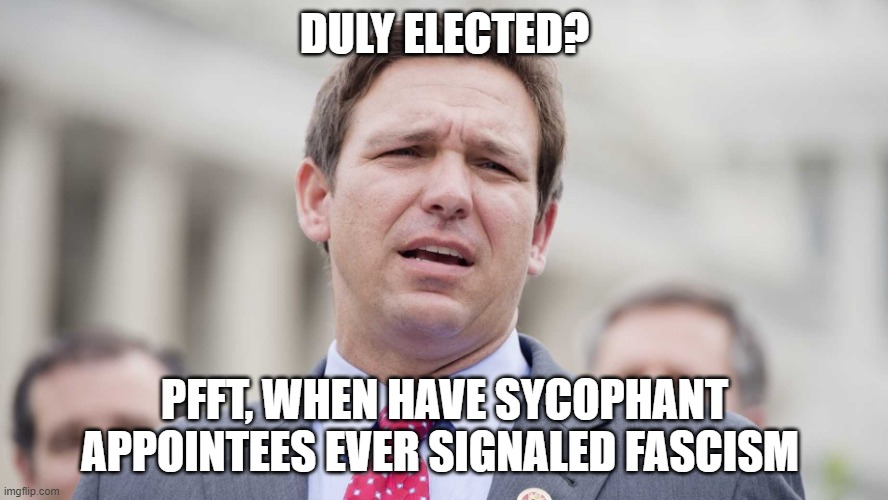 Meanwhile in Desantistan | DULY ELECTED? PFFT, WHEN HAVE SYCOPHANT APPOINTEES EVER SIGNALED FASCISM | image tagged in ron desantis,election,florida,gop,fascism | made w/ Imgflip meme maker