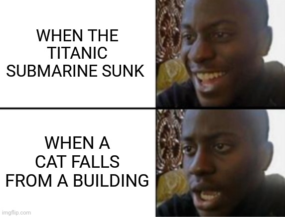 Let's be real. | WHEN THE TITANIC SUBMARINE SUNK; WHEN A CAT FALLS FROM A BUILDING | image tagged in oh yeah oh no | made w/ Imgflip meme maker