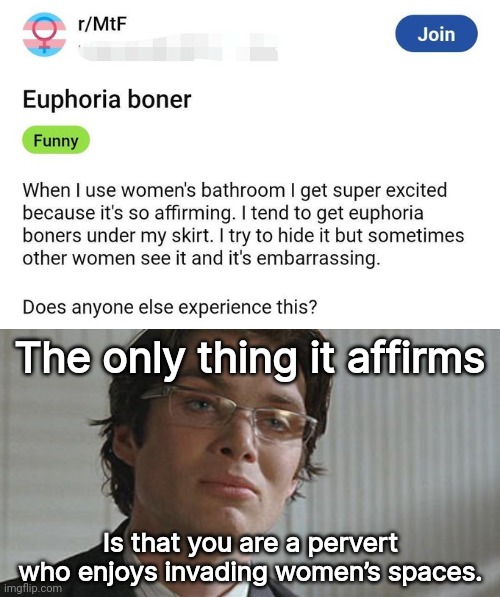 Pervert affirmed. | The only thing it affirms; Is that you are a pervert who enjoys invading women’s spaces. | image tagged in cillian stare | made w/ Imgflip meme maker